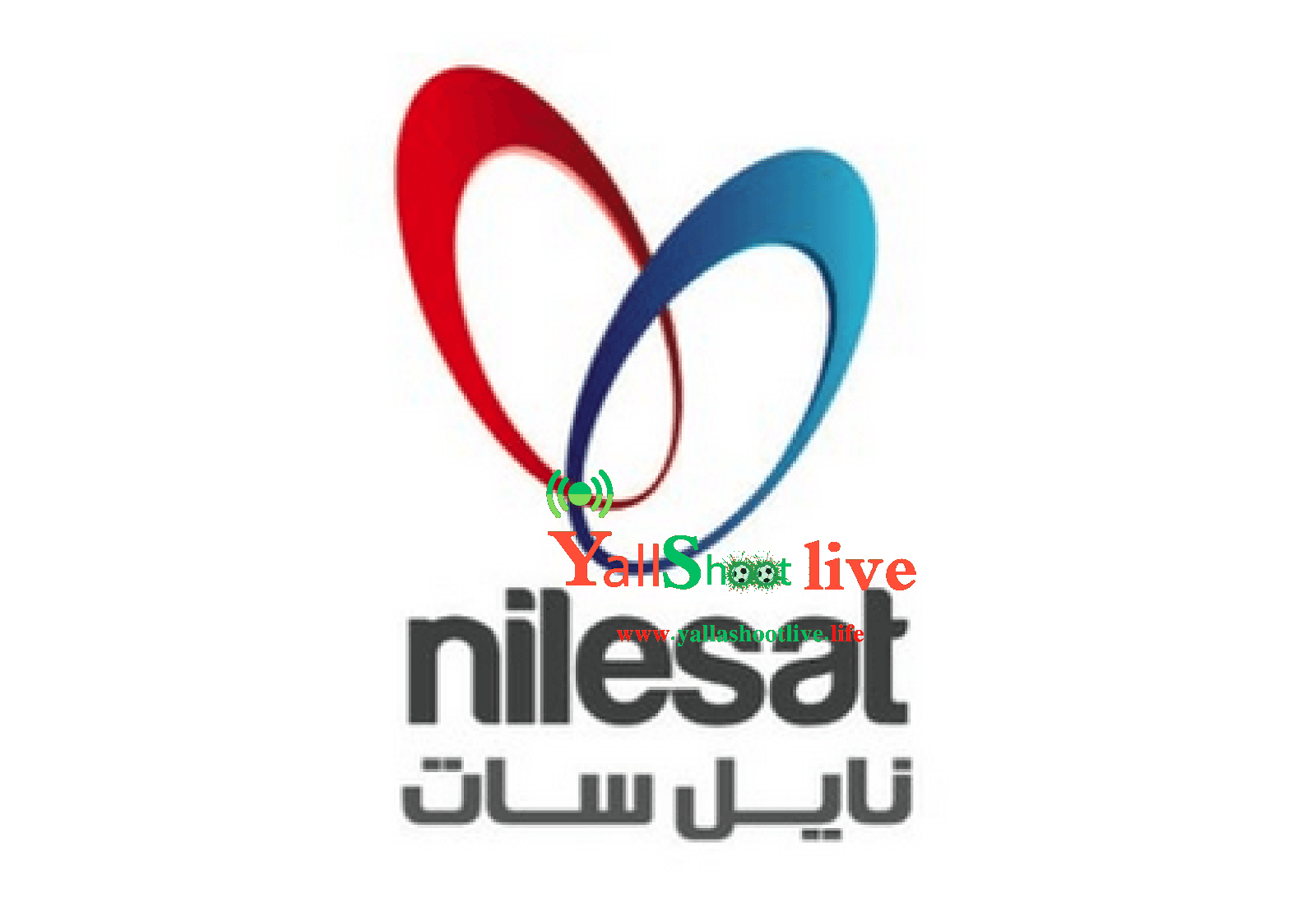 تنزيل جميع القنوات على النايل سات