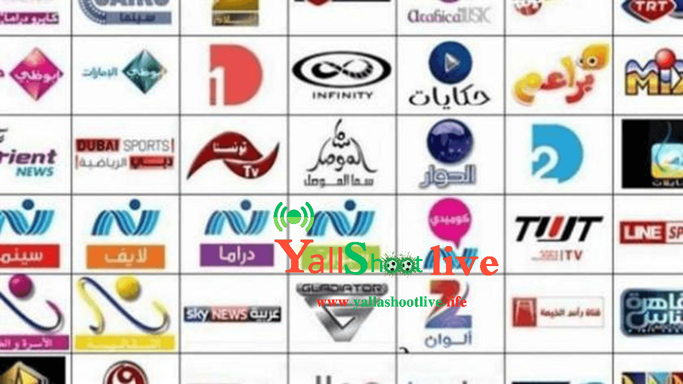 استخراج جميع القنوات في التلفزيون
