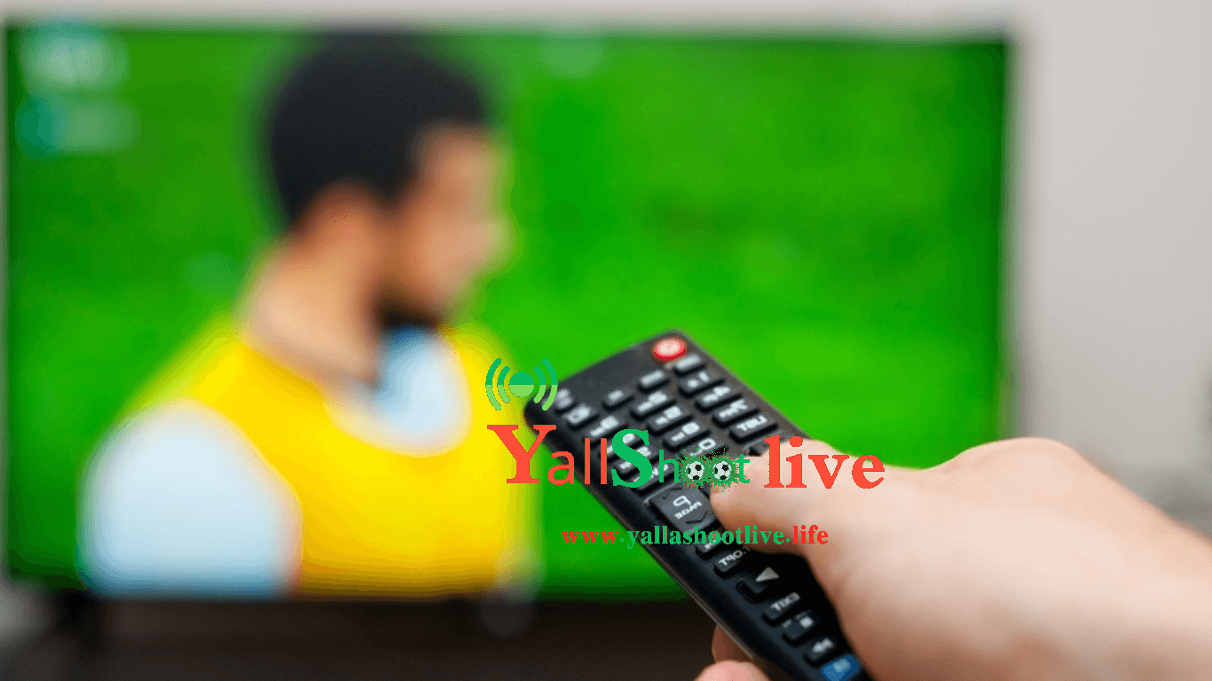 استخراج جميع القنوات في التلفزيون